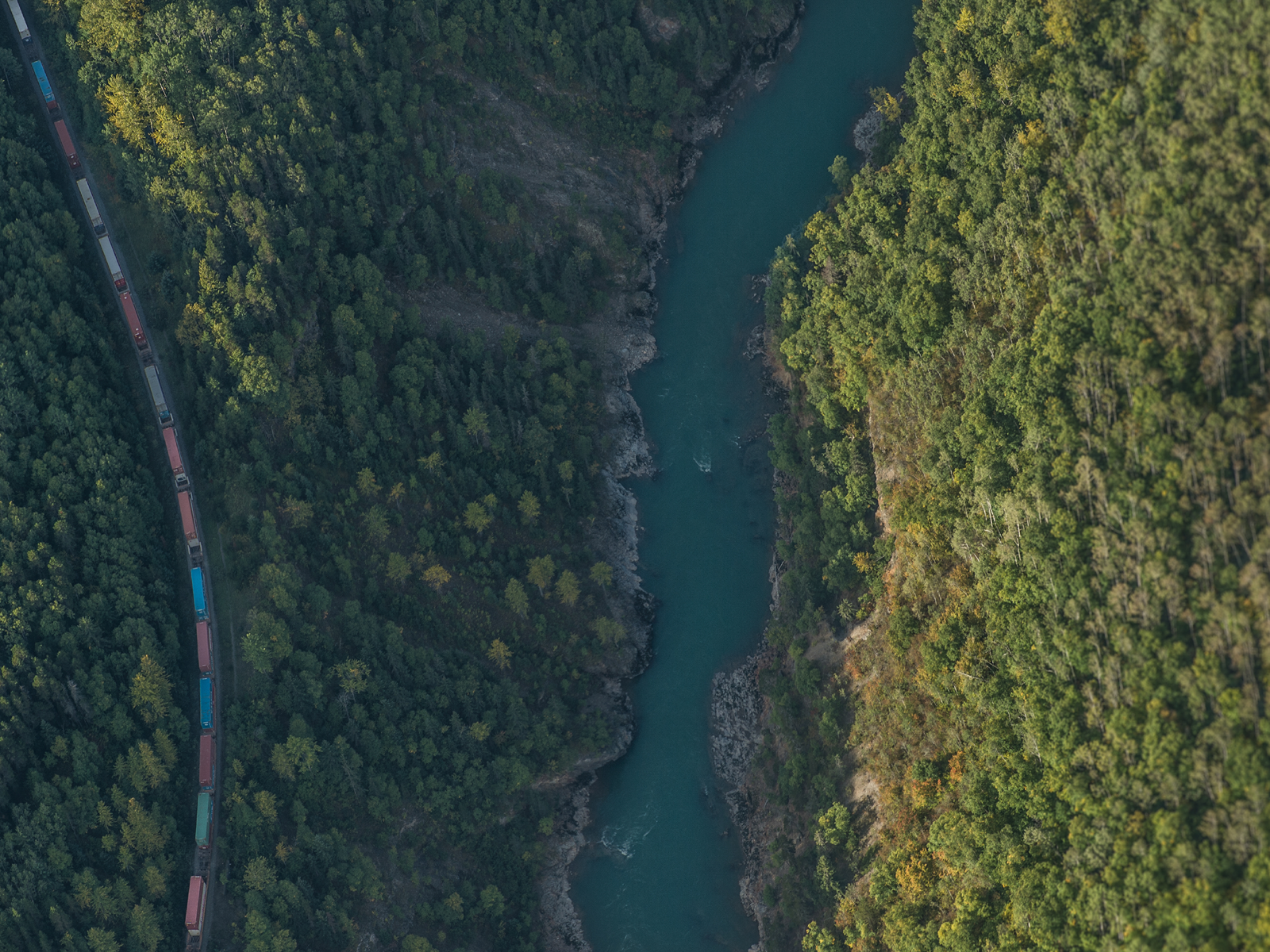 A cargo train traveling alongside a lushly forested river